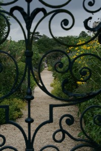 Picture through the gate